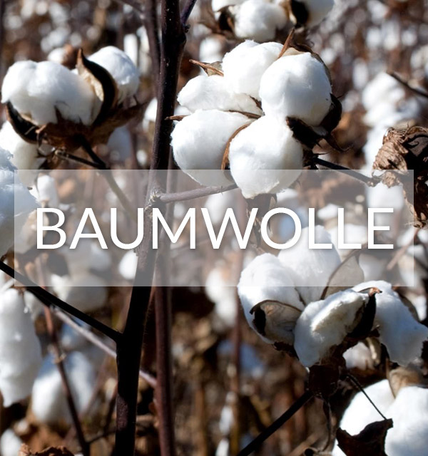 Bio Baumwolle be Kleidung