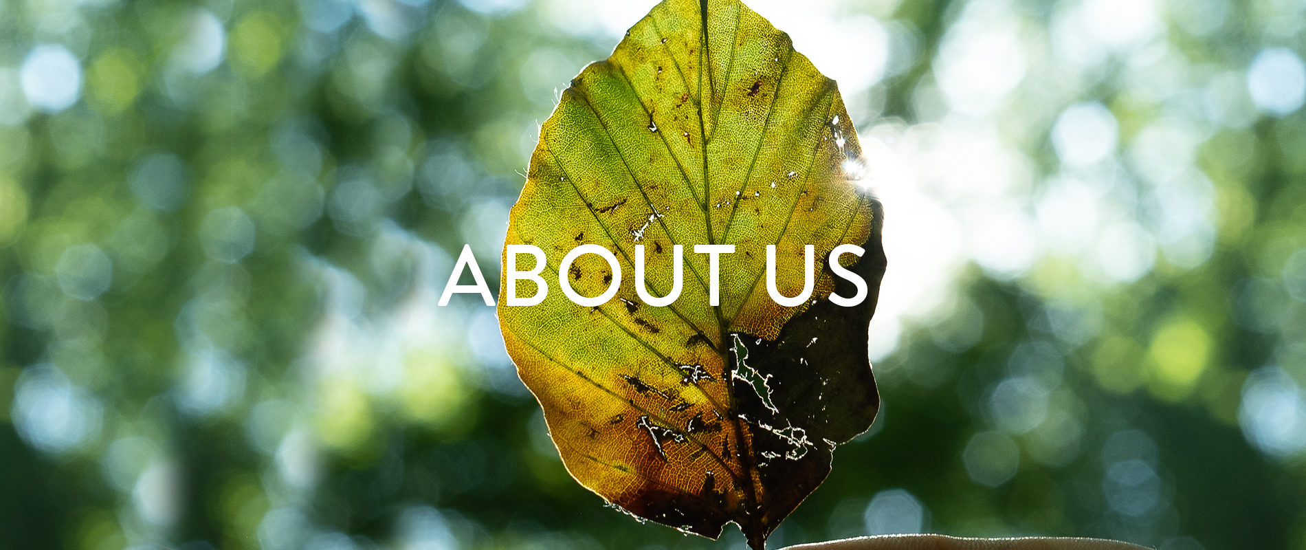 the-story-behind-green-shirts-about-us